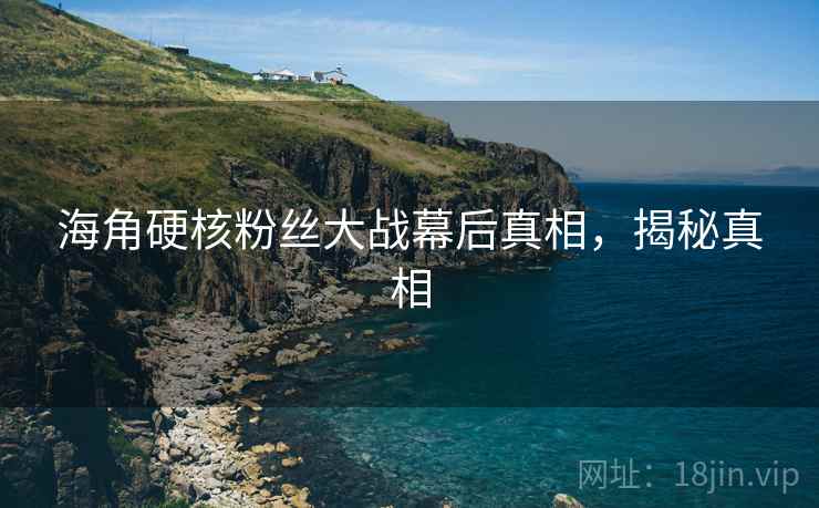 海角硬核粉丝大战幕后真相,揭秘真相
